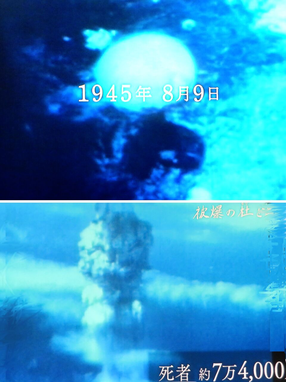 ≪新・旬の風 1270≫ 長崎原爆の『原子野』 : 山川草木・動物