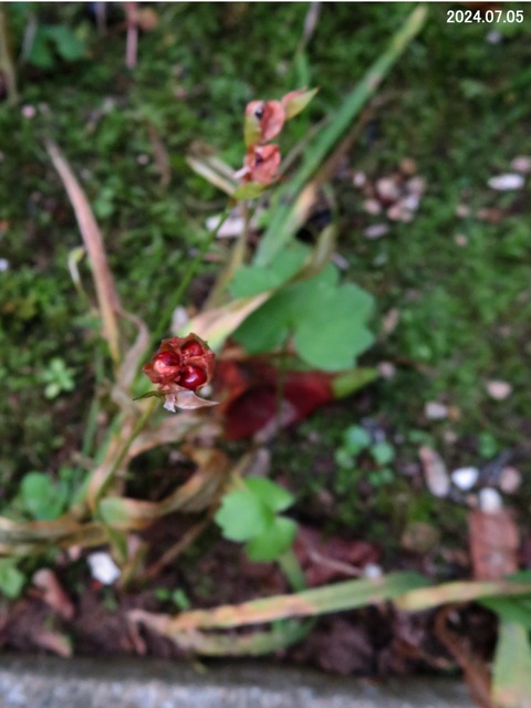 e8f29105-s.jpg