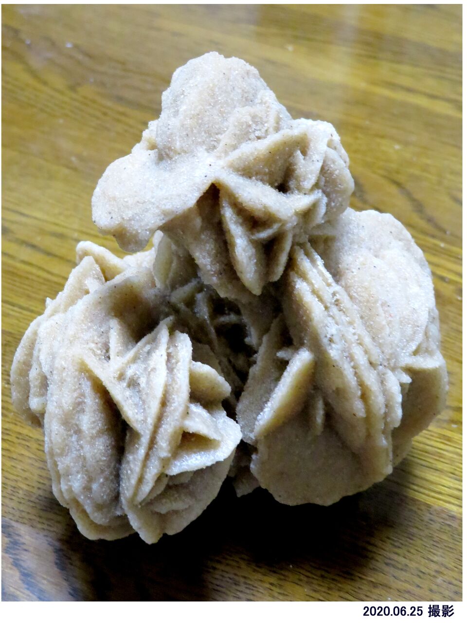 瞬 旬の風 76 砂漠の薔薇 山川草木 動物 歳時記 瞬 旬の風 76 砂漠の薔薇 山川草木 動物 歳時記