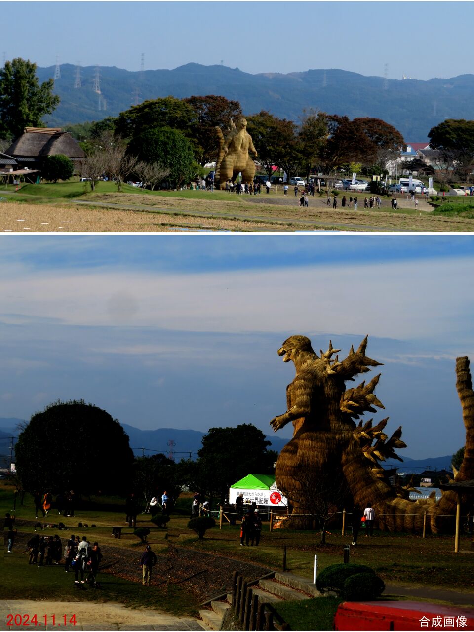 ≪新・旬の風 1159≫ 藁シンゴジラ 現る！ : 山川草木・動物