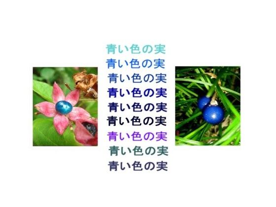 旬の風 570 青い実 過去の 山野草図鑑歳時記 のアーカイブ