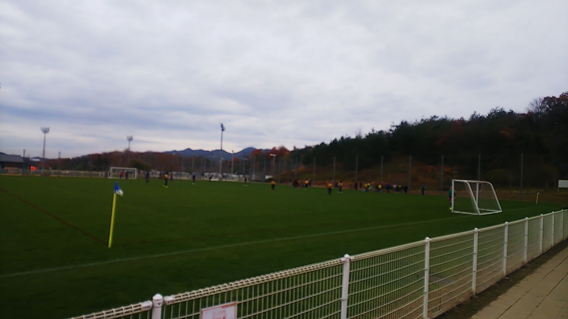 サッカー 兵庫県特別支援学校 知的 サッカー連盟 サッカー 兵庫県特別支援学校 知的 サッカー連盟