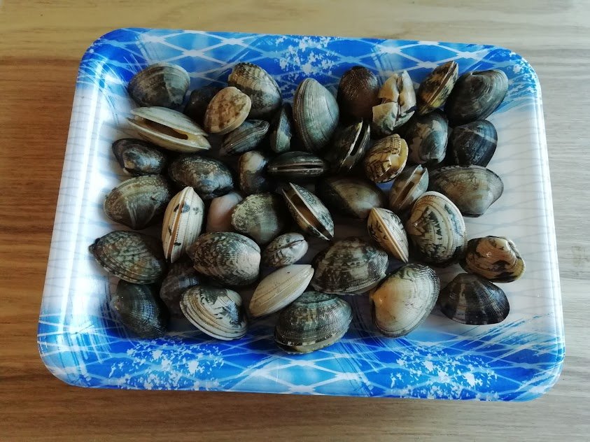 アサリの酒蒸し キスの塩焼き 絹揚げ焼き インゲンと豚肉のオイスター炒め他 お酒大好き ズボラおばさんのリアルな家呑みとネコ