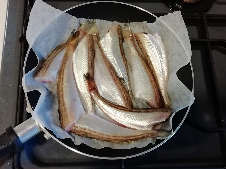 スキレットで鶏ももステーキ ハタハタ塩焼き 鶏ムネサラダ お酒大好き ズボラおばさんのリアルな家呑みとネコ