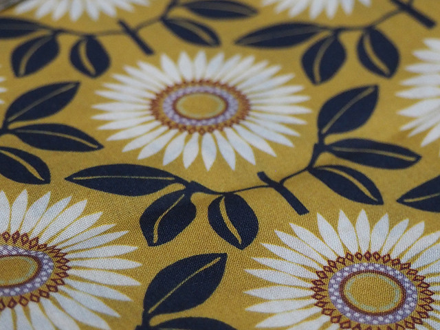 P7020006