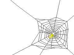 背景 蜘蛛の巣 Spider Web Route698