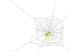 背景 蜘蛛の巣 Spider Web Route698