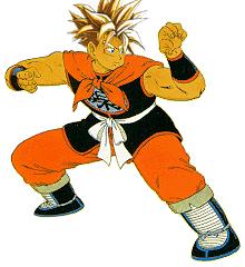 地球人はスーパーサイヤ人になれるのか 2 ルービックキューブ日記