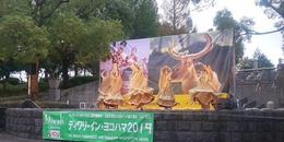 line_326198005527646