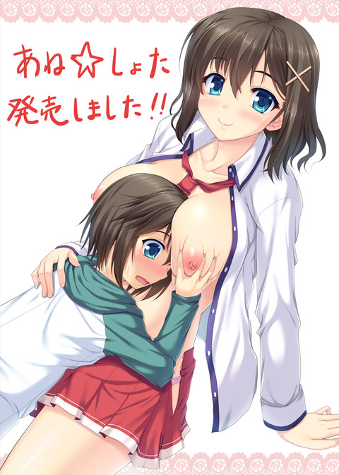 オナニーに便利なねえさんその311