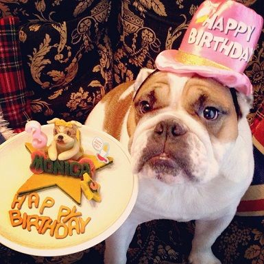 hb