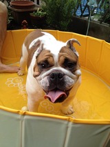 pool2
