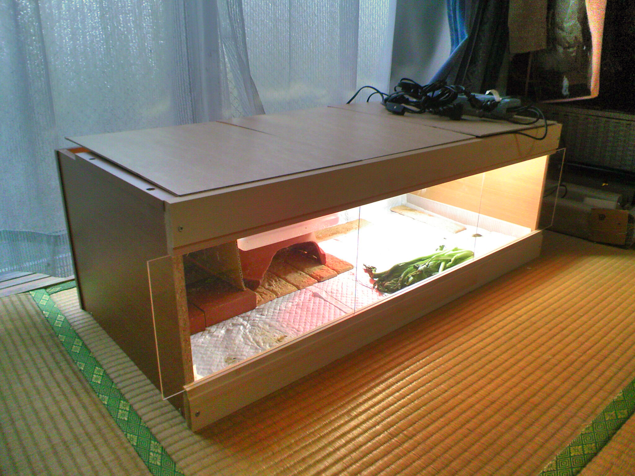 みなさん プチおひさでございます 帰途 かえりみち