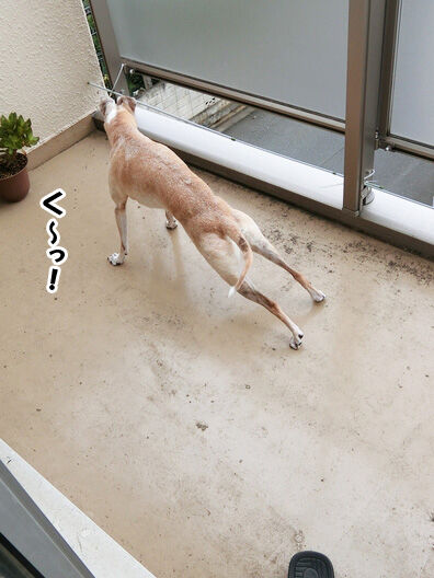 200916 (4)