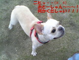 ブッヒちゃんの姫さまたち1