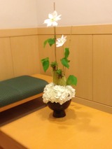 お花