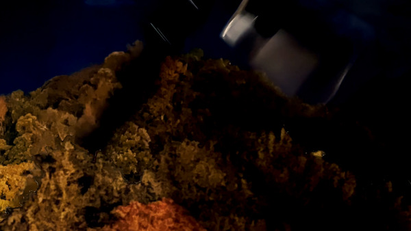 00295.00_00_29_08.�Ż߲�045
