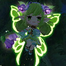 lily4