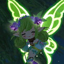 lily2
