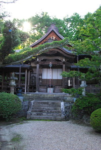 IMGP0135