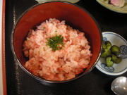 DSCN3104