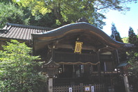 IMGP0012