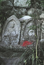 IMGP0027