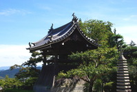 IMGP0023
