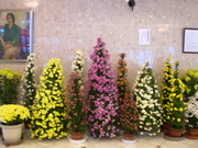 20091117_02