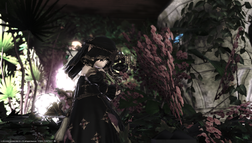 ffxiv_20201129_024602_255