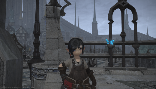 ffxiv_20210124_014759_592