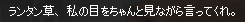 キャプチャ1219