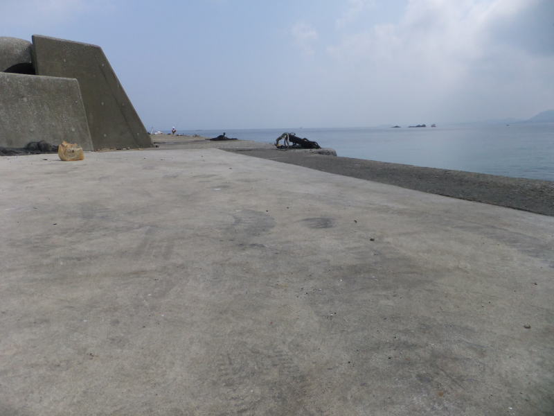 千葉県 南無谷海岸 坂田 ルィバークの釣行記