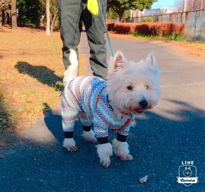 EA8241B8-4CE5-4127-A951-C93557C2841D