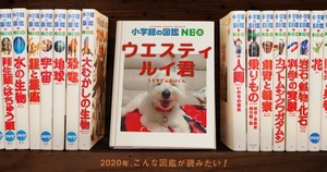 5C84DF7C-7067-4C29-9CAD-C8BD5CE8ABB1