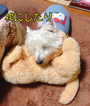 627BC62B-0408-4038-BC2E-ADED86D99849