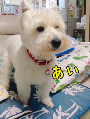 2B652336-51E4-4EBF-BB1D-82DF3001E786