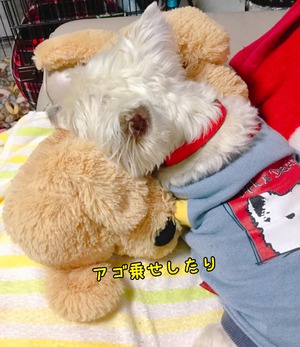 932180B7-270A-4B43-B5C0-7F974ED69D84