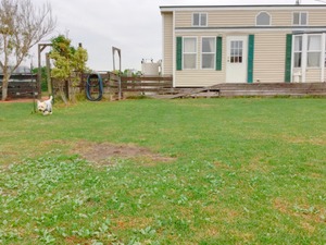 C722B325-BE86-4381-8B18-3BDCD1E4B94C