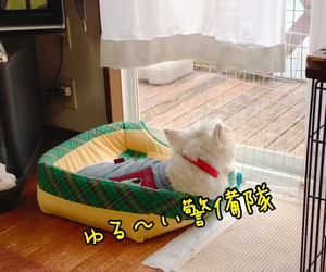 2B87A4D7-C296-4FA1-B74A-D9B2800150D2