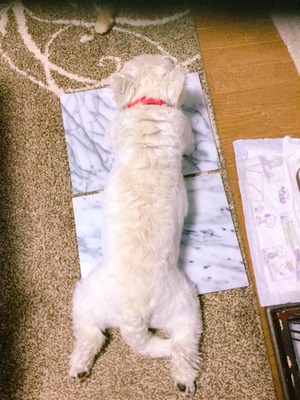 A197A8A1-ED40-45BC-94B7-17479D1AE616