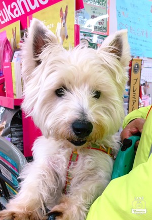 539B186B-D9C1-4995-88B0-131B703E0D62