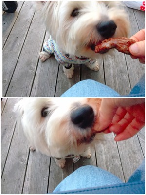 2E207491-708F-4943-B658-1975F1800467