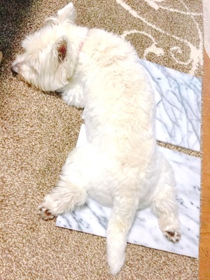 D0485A2C-C6B5-42A8-A3DD-D0E7039D49C5