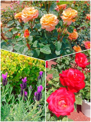 500B621A-6826-4069-A509-386DDD40B3B5