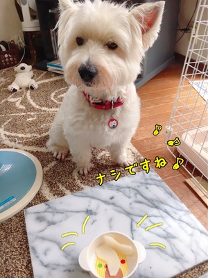 506C81E3-5047-46C0-AC6F-016D1E8261C3