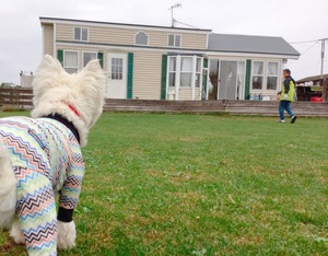 26372E49-D45D-486D-9B80-BBF40FD448B3