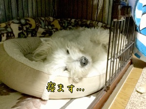 EDD34C19-5160-4E4F-90CD-19F0753B22EB