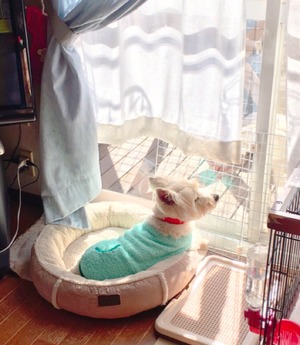 4309AB52-3A39-4E49-AFD2-D248BC8AC8BA