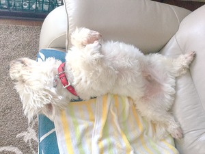 79B902A2-D63D-4F81-A853-F1C232FC8491